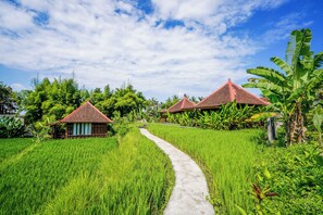 Front of property - Ubud Sawah Homestay (Tegallalang)