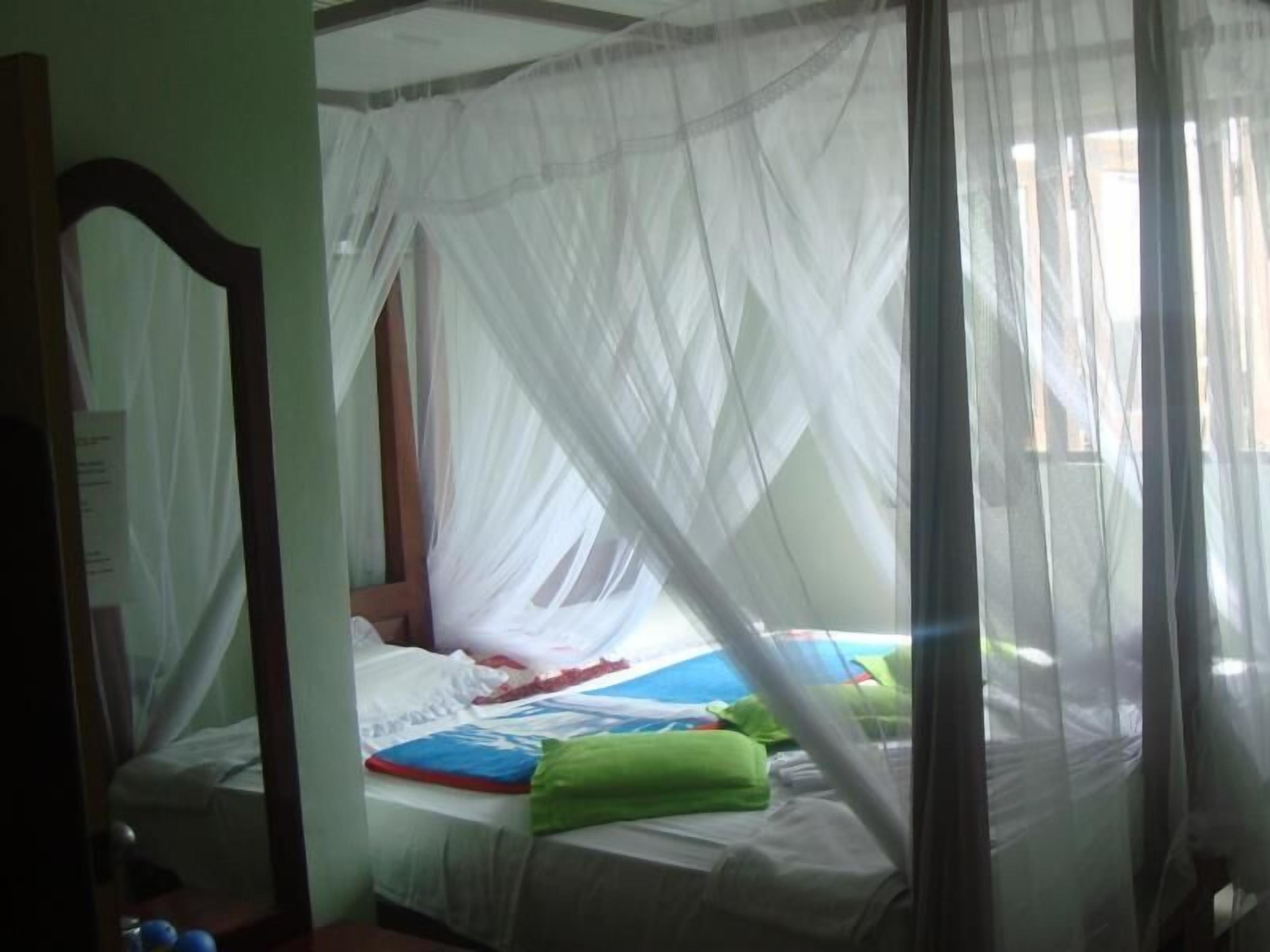 A room with a bed covered by a mosquito net, a mirror, and a window with curtains.