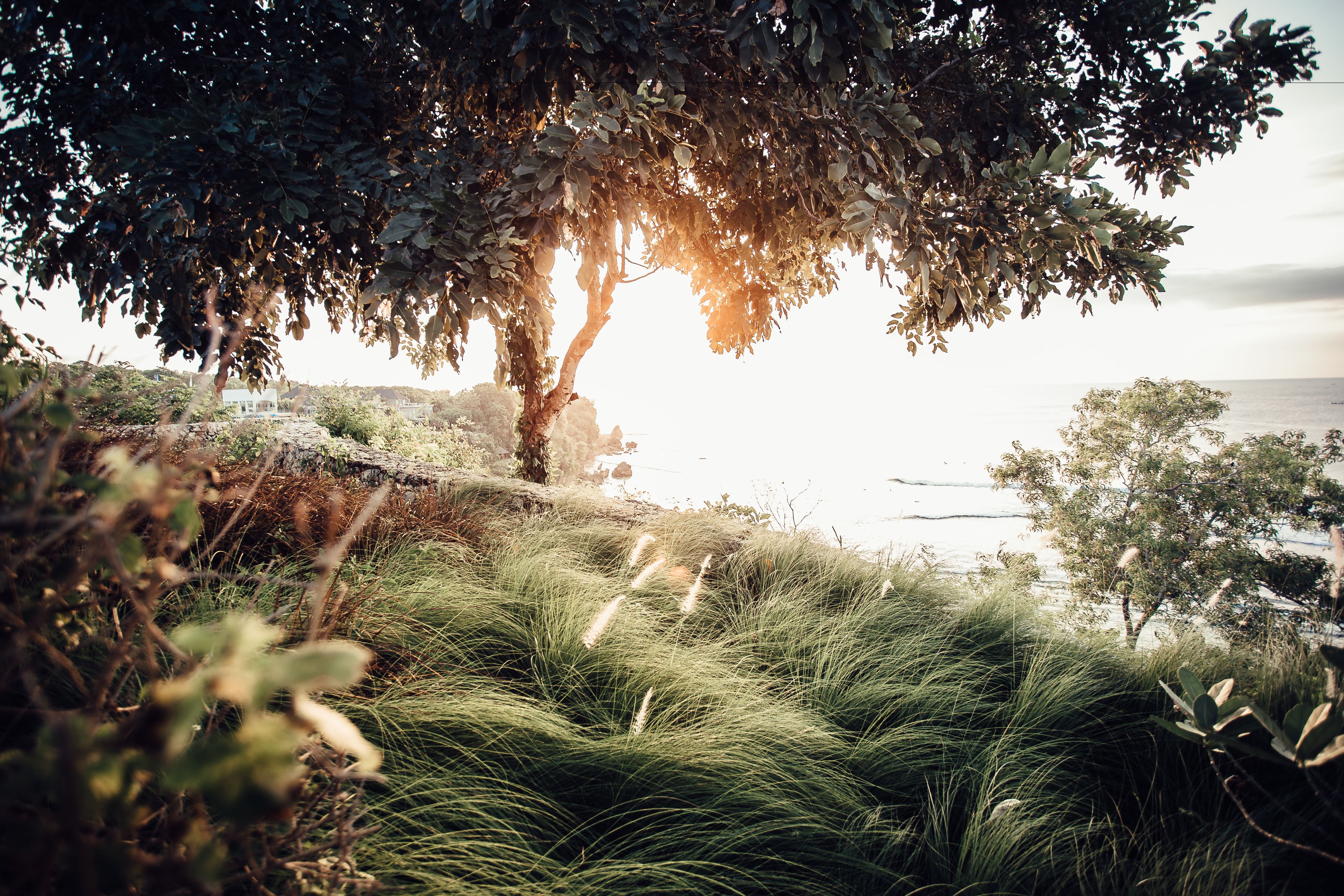 Foto - Suarga Padang Padang