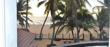 A beach view with palm trees and a fence.