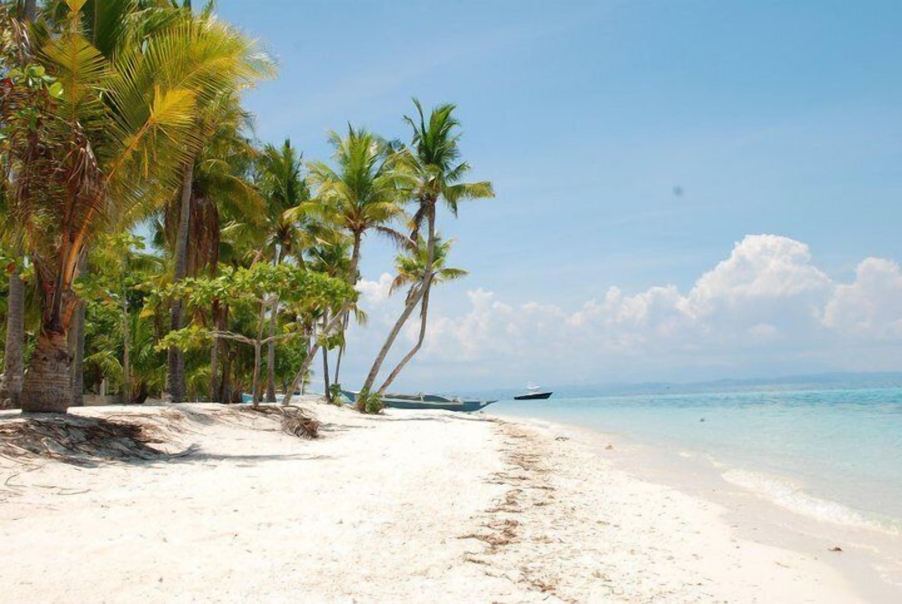 A beach with white sand, palm trees, and a boat in the water.