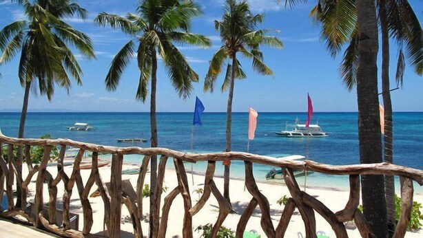 Une vue sur la plage, avec des palmiers, une clôture en bois et un ciel bleu dégagé.