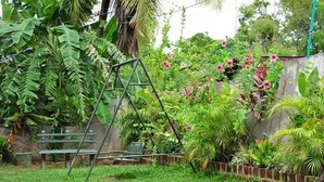 Un jardin avec une échelle en métal appuyée contre un mur, entouré d’une végétation luxuriante et de plantes en fleurs.