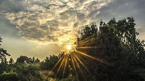 Una piscina con vistas a la puesta de sol y árboles circundantes.