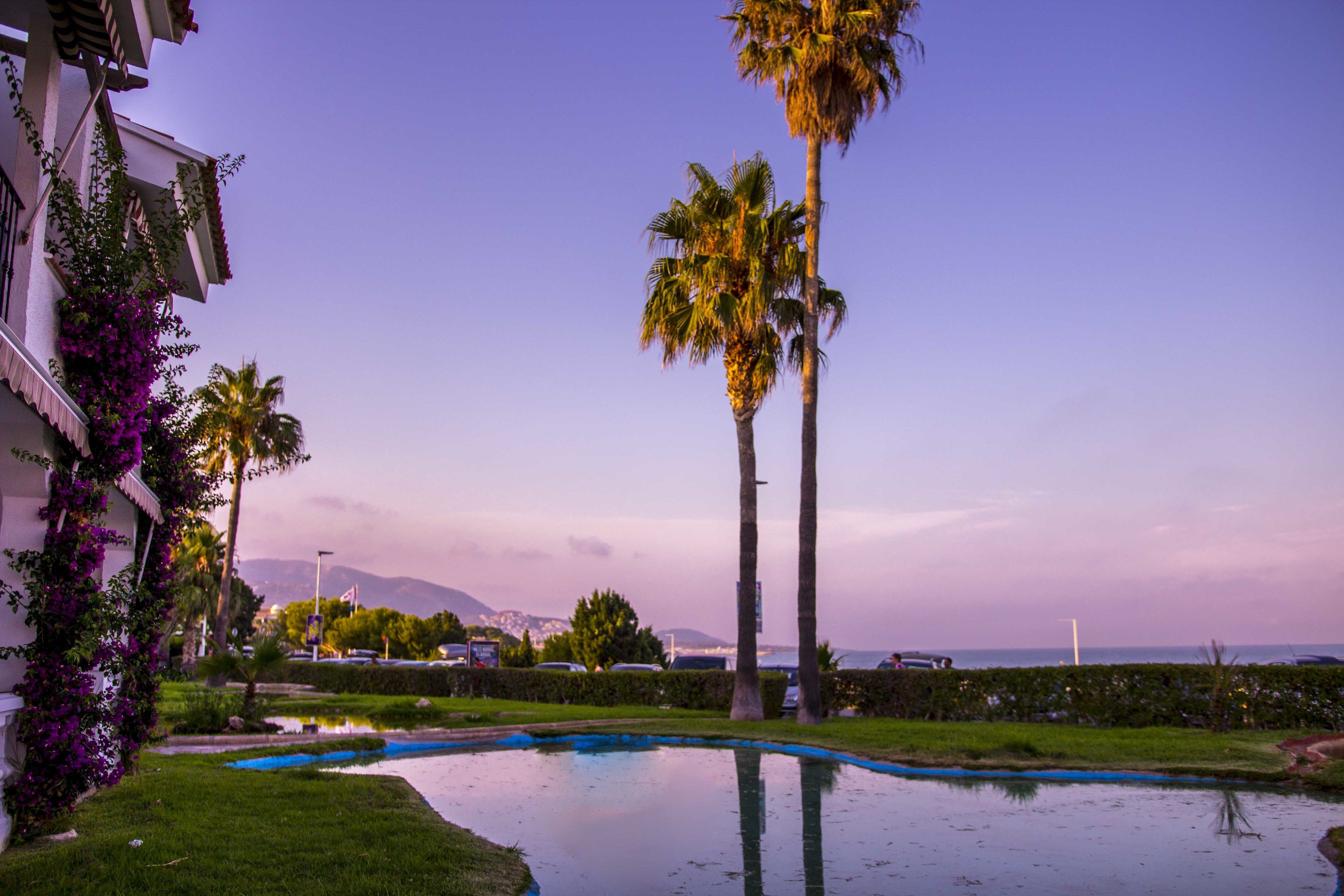 Photo - Apartments Kione Playa Romana Park