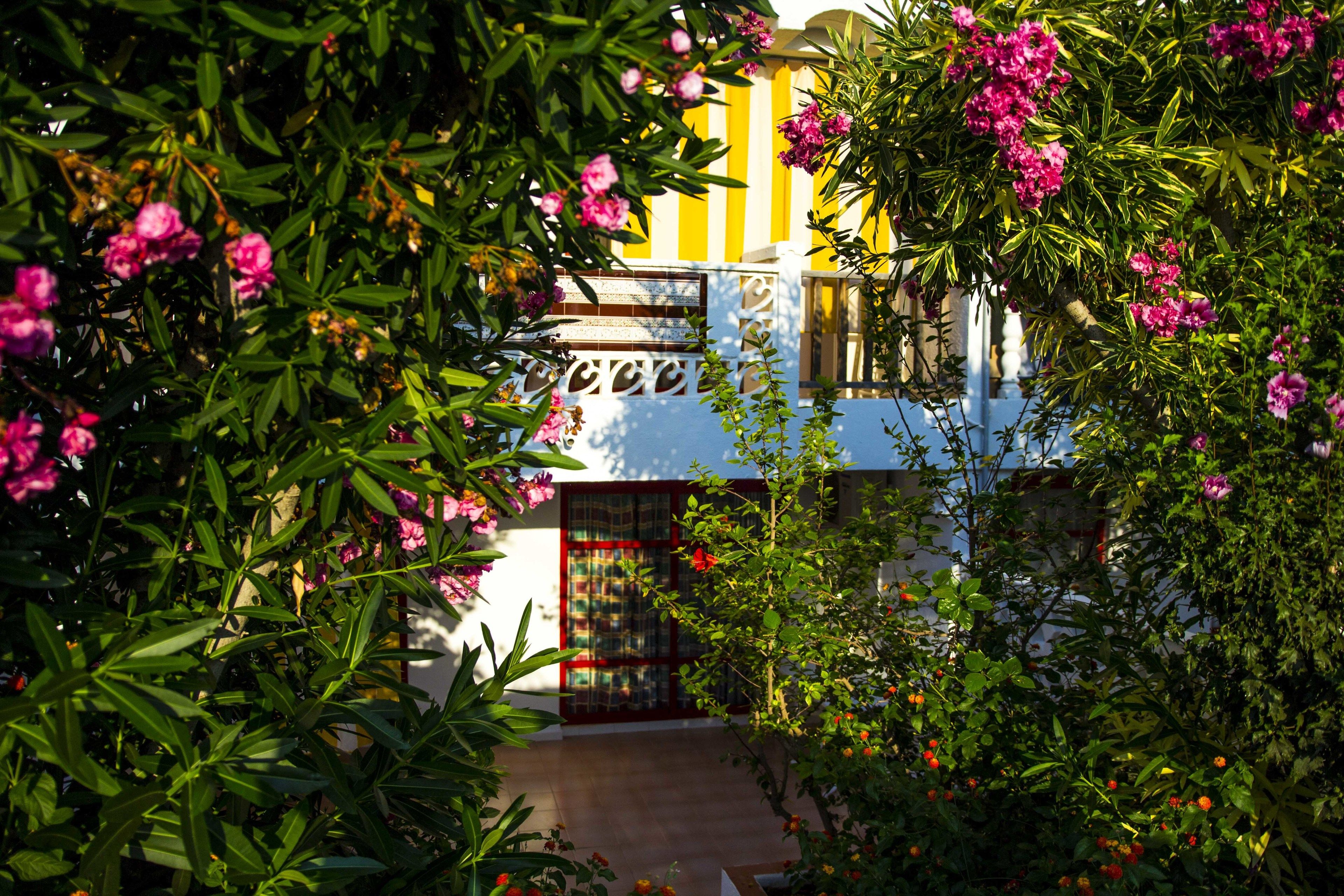 Photo - Apartments Kione Playa Romana Park