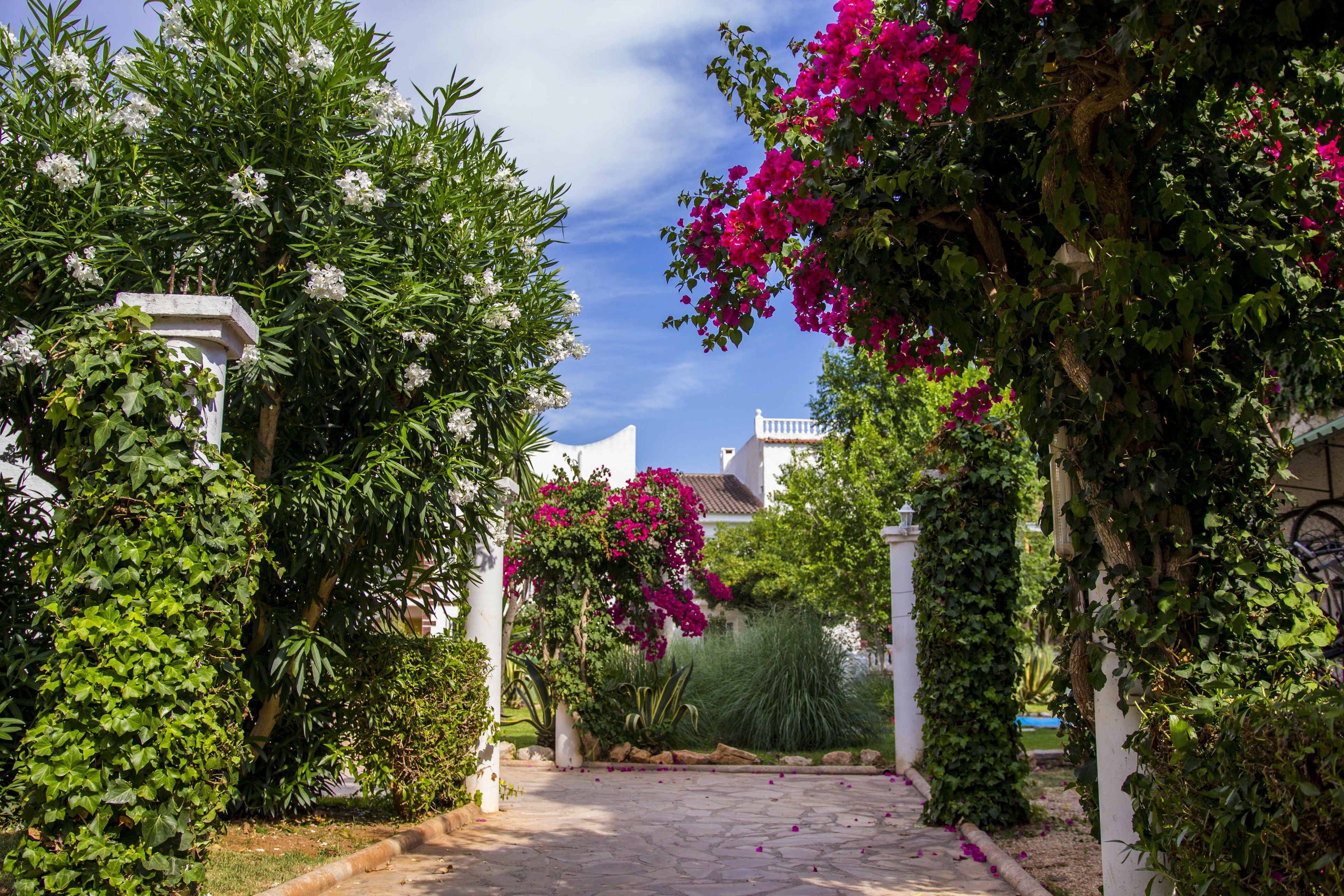 Jardines del alojamiento