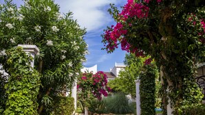 Property grounds - Kione Playa Romana (Alcala de Xivert)