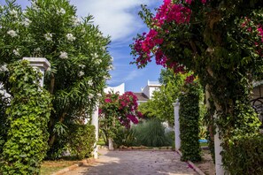 Àrea exterior de l'allotjament