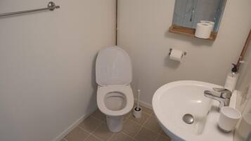 A bathroom with a toilet, sink, and mirror.