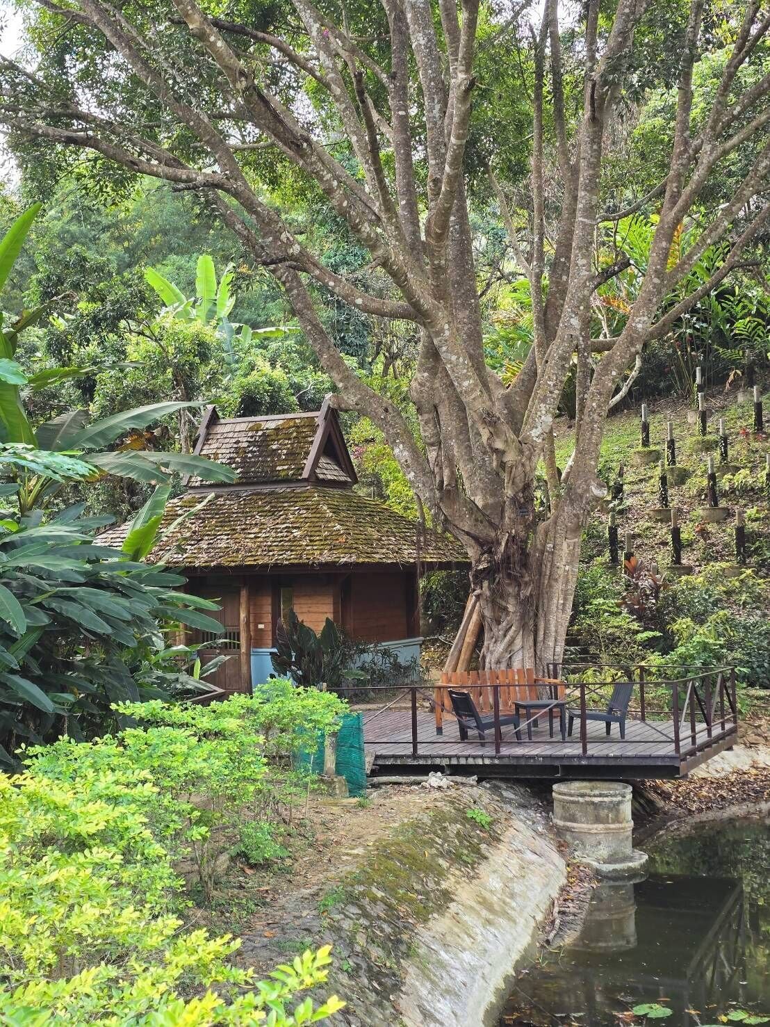 Bua One Bedroom Villa | Terrace/patio