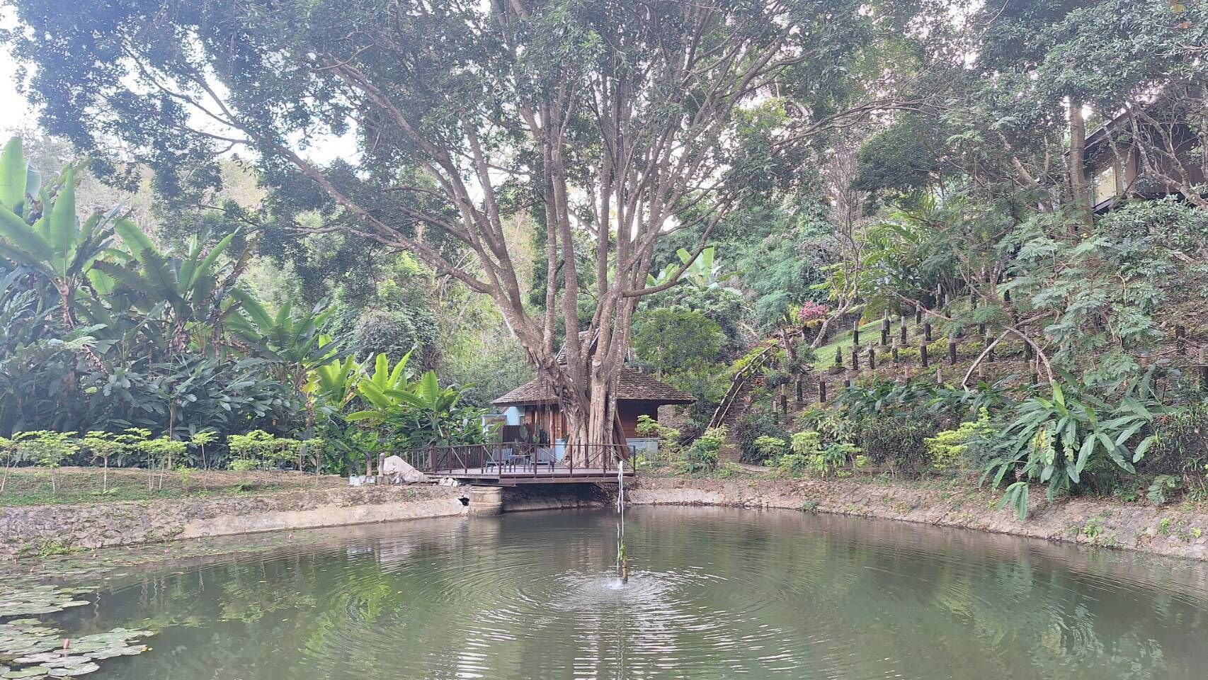 ห้องเบสิก, 1 ห้องนอน | ลานระเบียง/นอกชาน