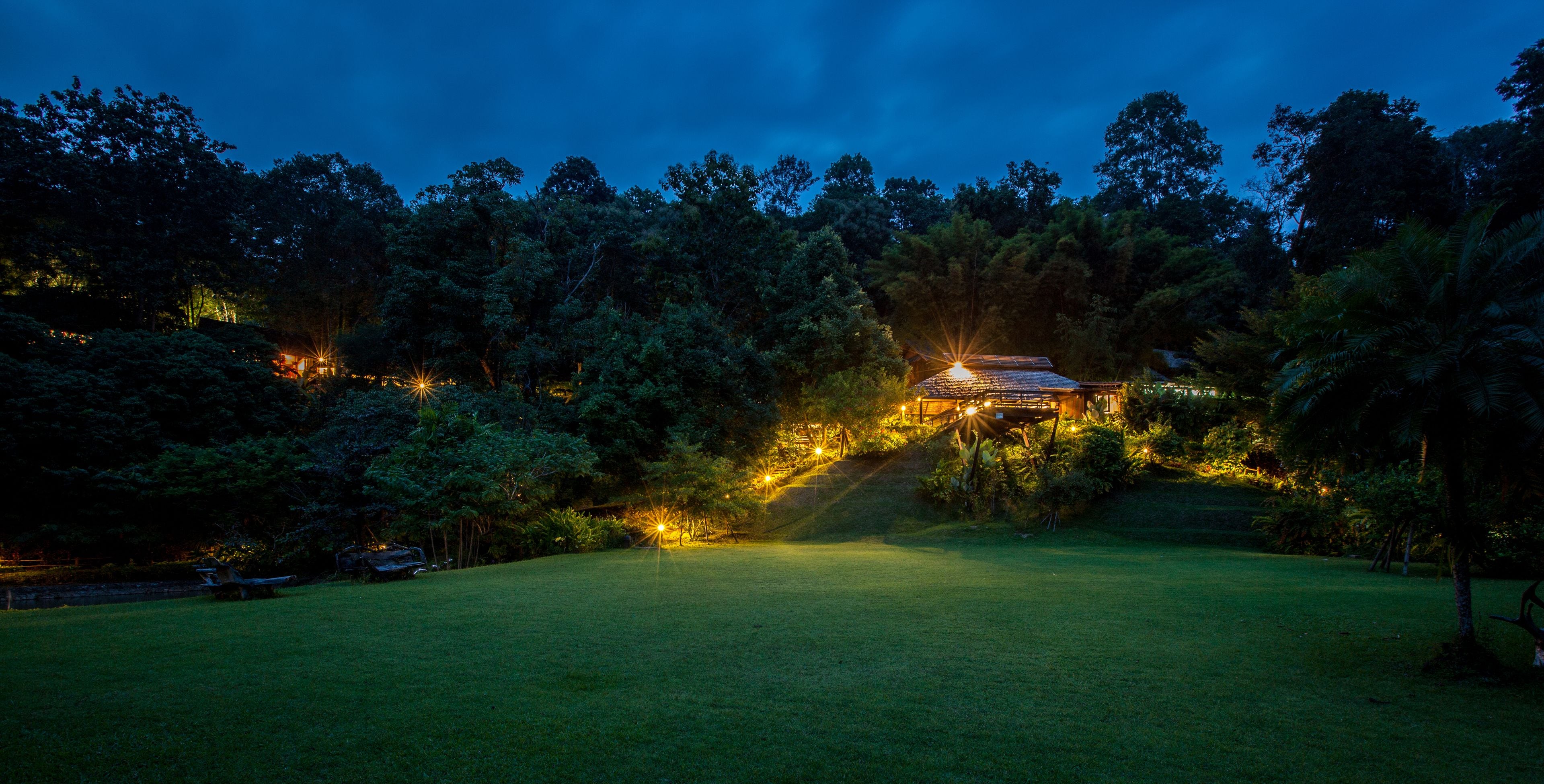 A well-lit outdoor area with a house, surrounded by dense trees and a grassy lawn.