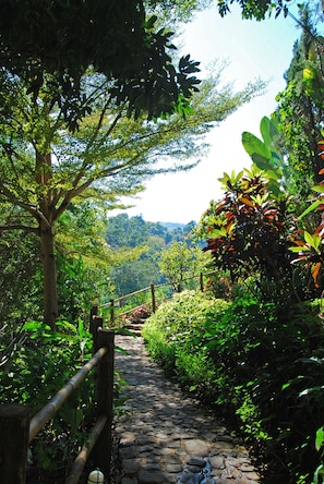 Property grounds - Vanilla Hill (Hang Dong)