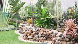 Taman