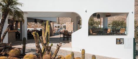 A desert-themed outdoor seating area with cacti and palm trees, white walls, and a view of a mountainous landscape.