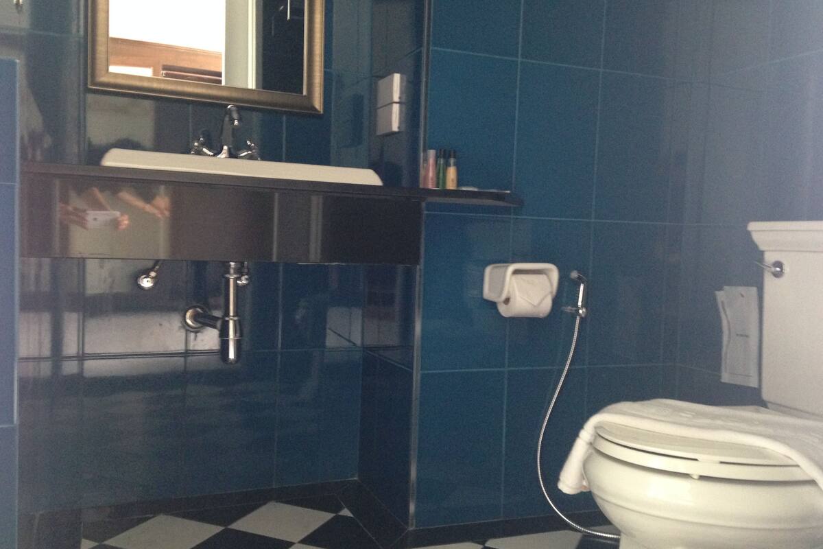 standard room, 1 king bed | bathroom | shower, free toiletries, hair dryer, slippers