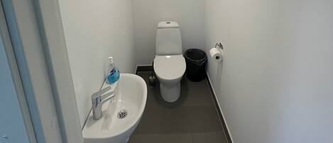 Une petite salle de bain étroite, équipée de toilettes, d’un lavabo et d’une poubelle.
