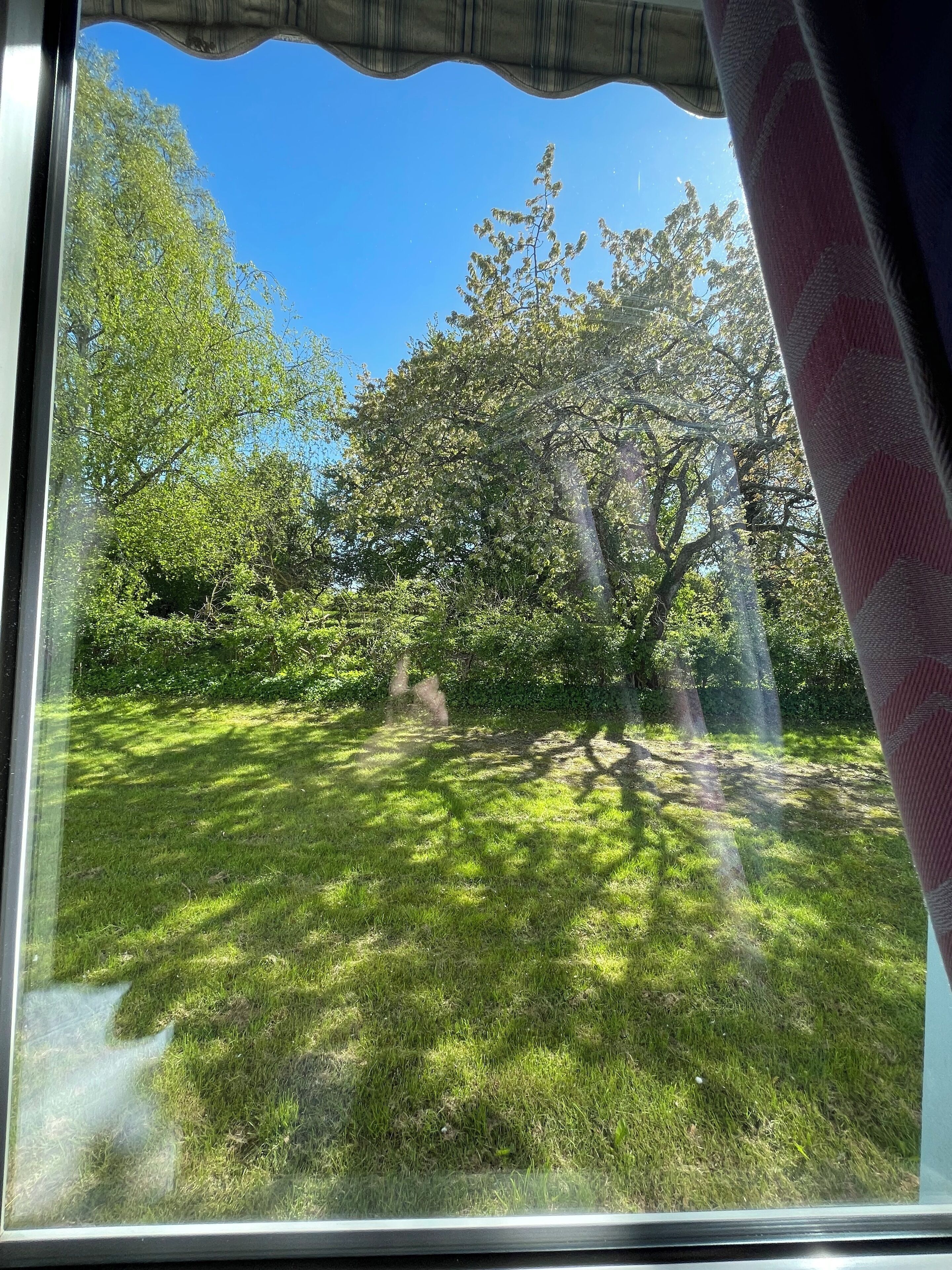 Familjerum | Utsikt mot trädgården