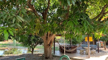 Jardines del alojamiento