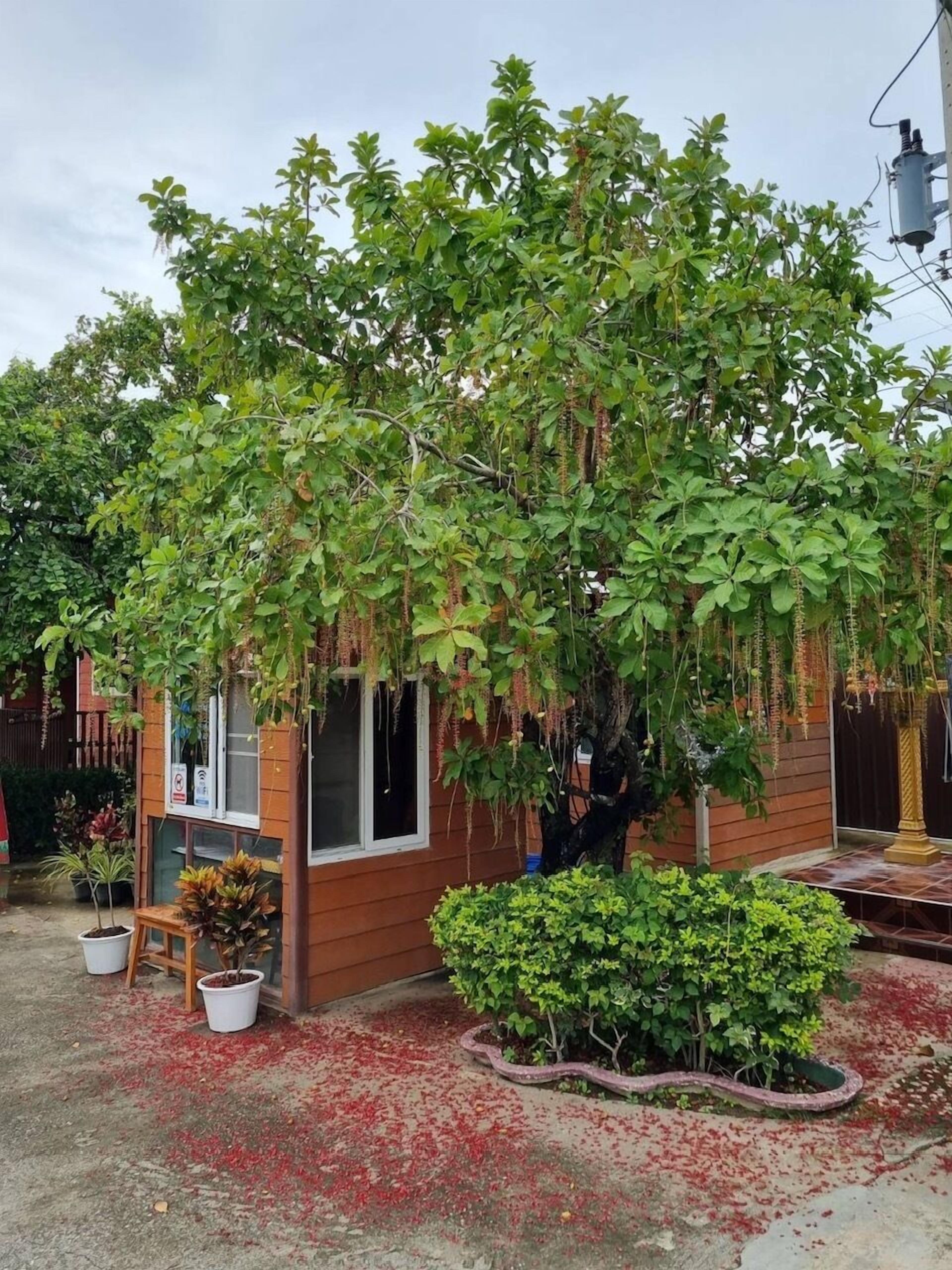 Check-in/check-out kiosk