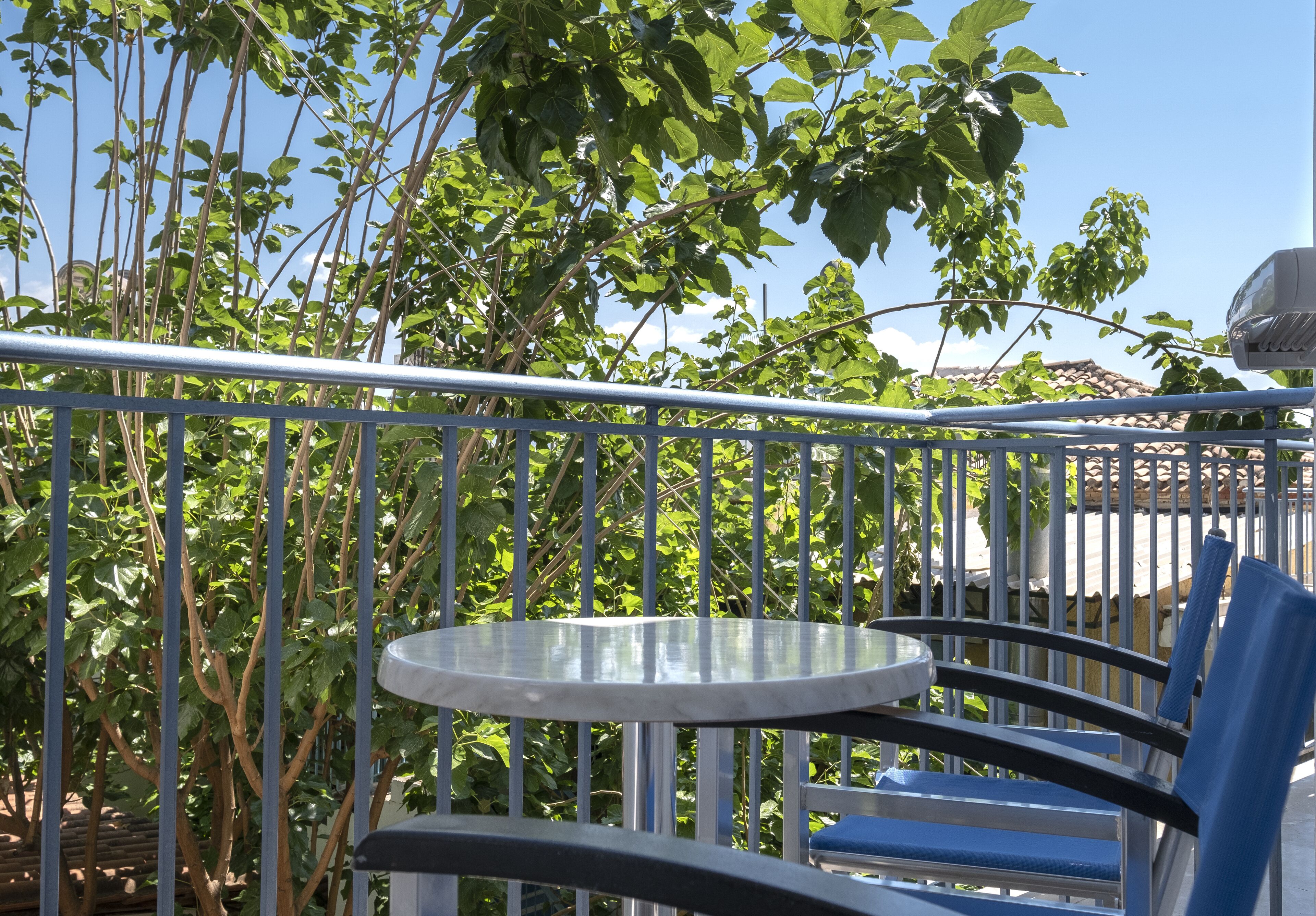 standard room (back view) | mountain view