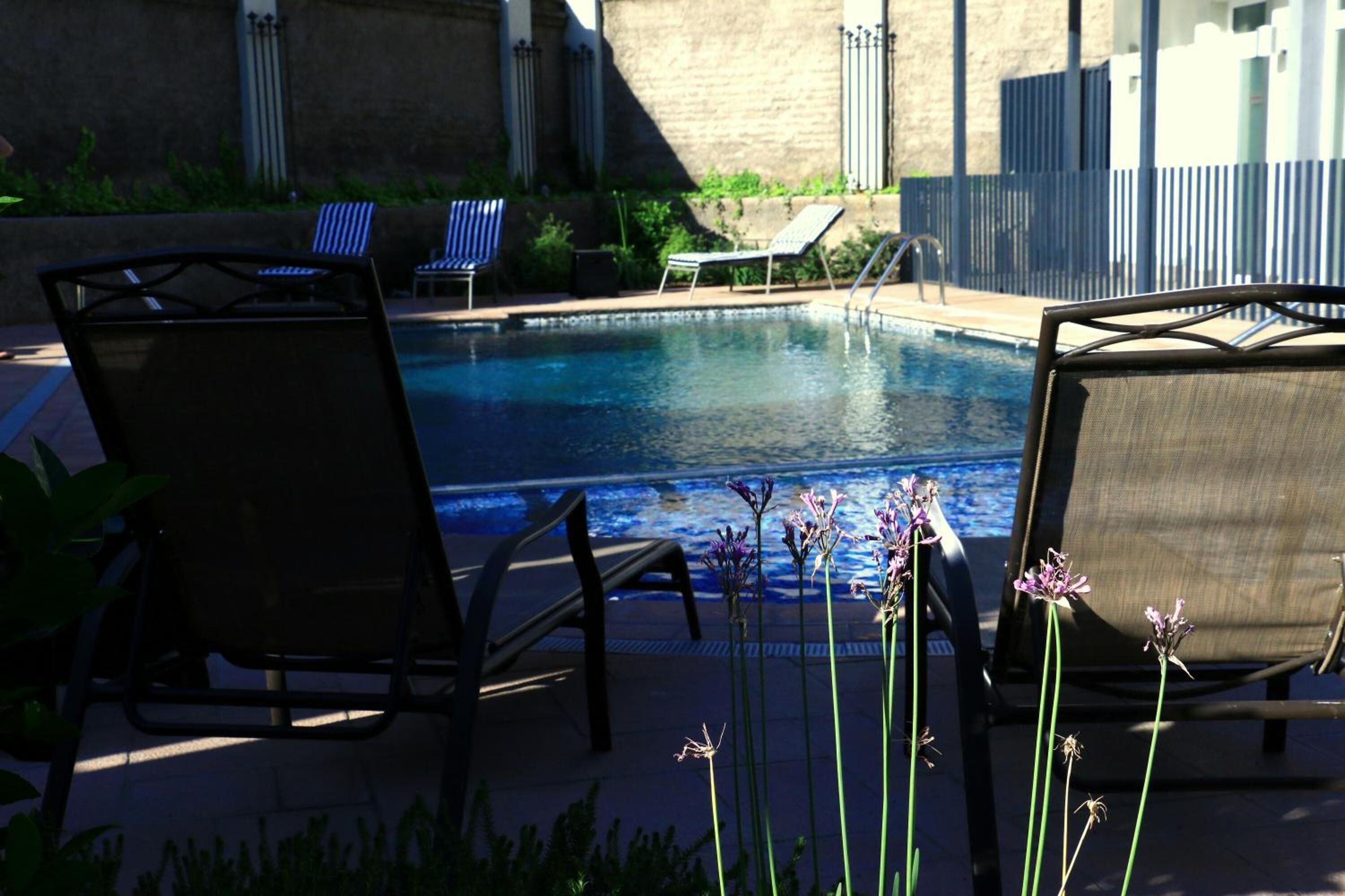 outdoor pool, pool loungers