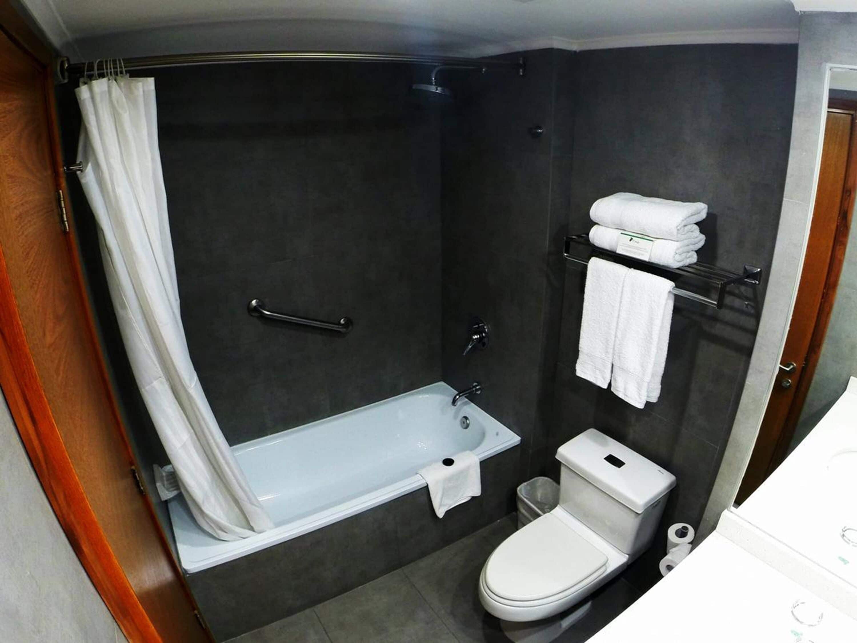 combined shower/bathtub, free toiletries, hair dryer, towels