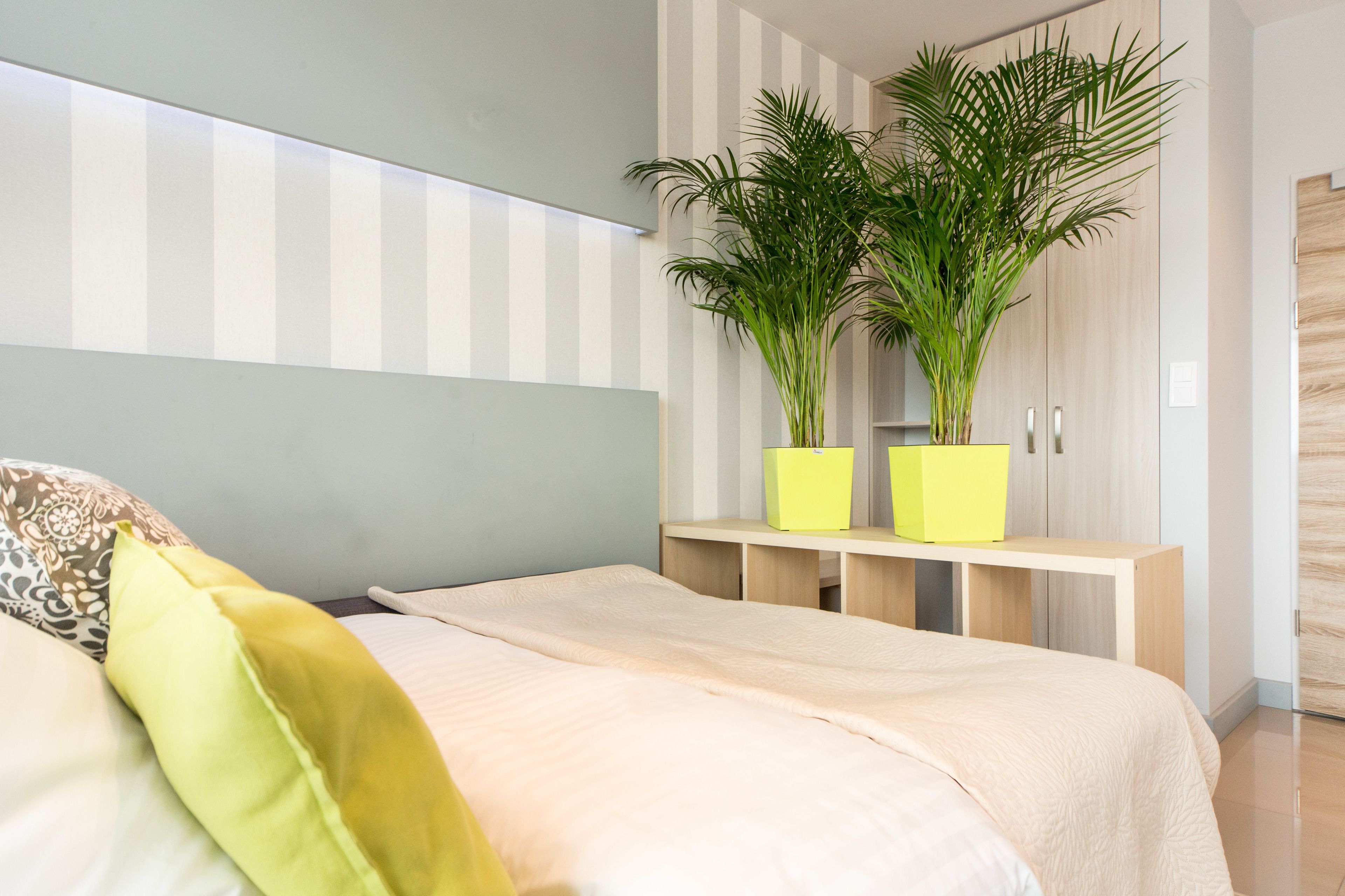Een moderne slaapkamer met een bed, een hoofdbord, een nachtkastje, een potplant en een kledingkast.