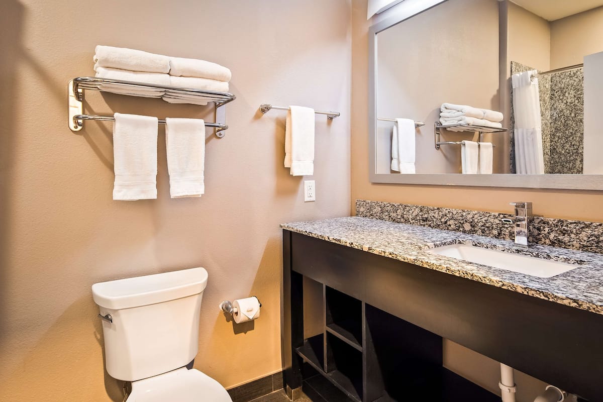 combined shower/bathtub, free toiletries, hair dryer, towels