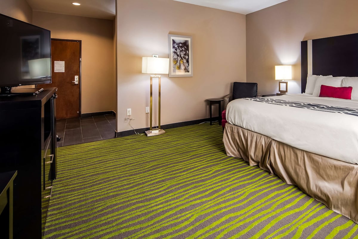 A hotel room with a large bed, two bedside lamps, a flat-screen TV, and a green striped carpet.