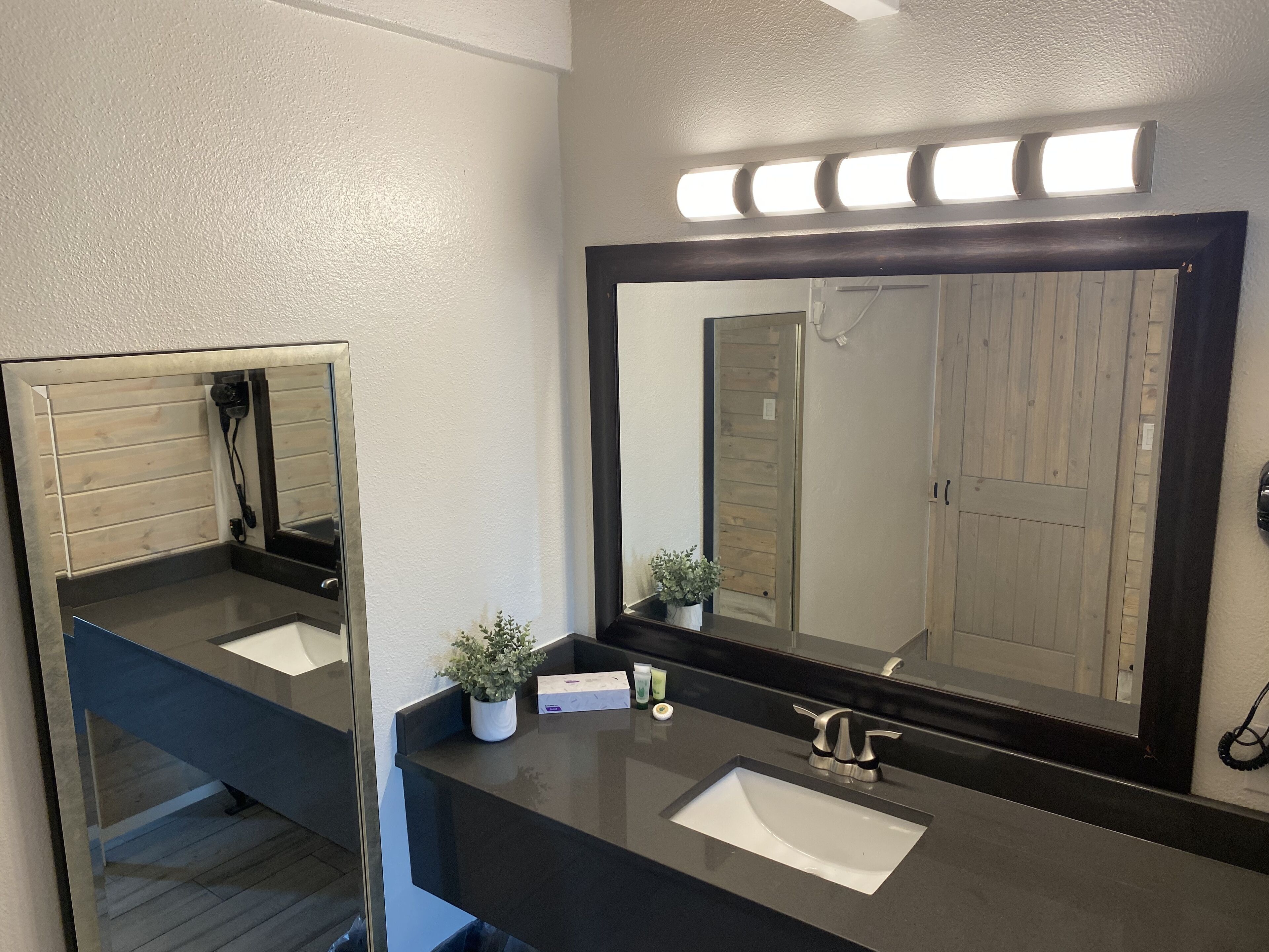 A bathroom with a large mirror, a sink, and a potted plant.