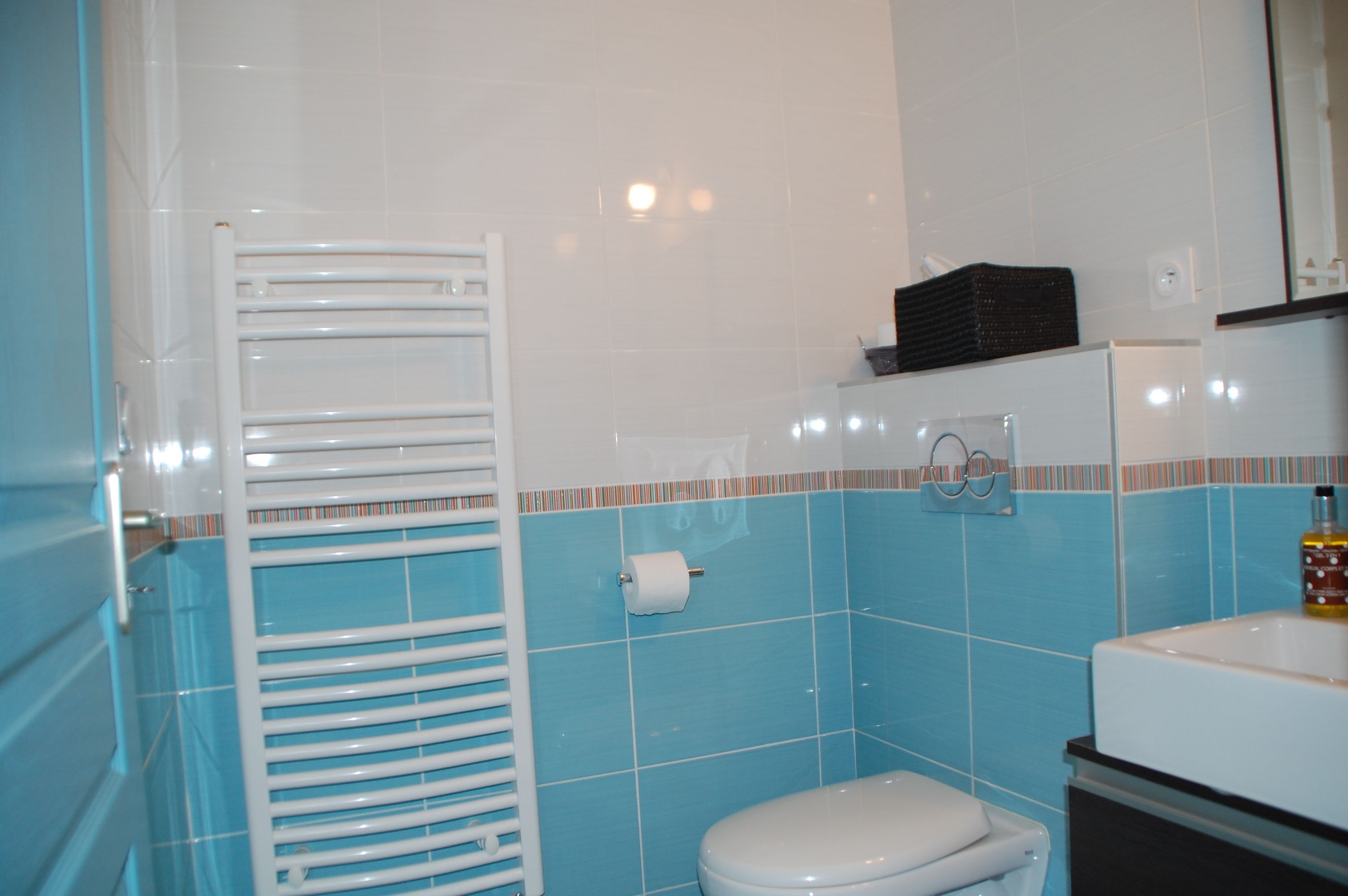 Un baño con inodoro blanco, toallero blanco y lavabo con espejo.