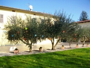 A courtyard with olive trees, a building with a yellow facade, and a clear blue sky. - Agriturismo Radamez (Monzambano)