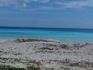 White sand, motor boating, fishing - Hotel Paraiso (Paraiso)