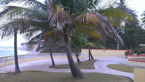 Terras