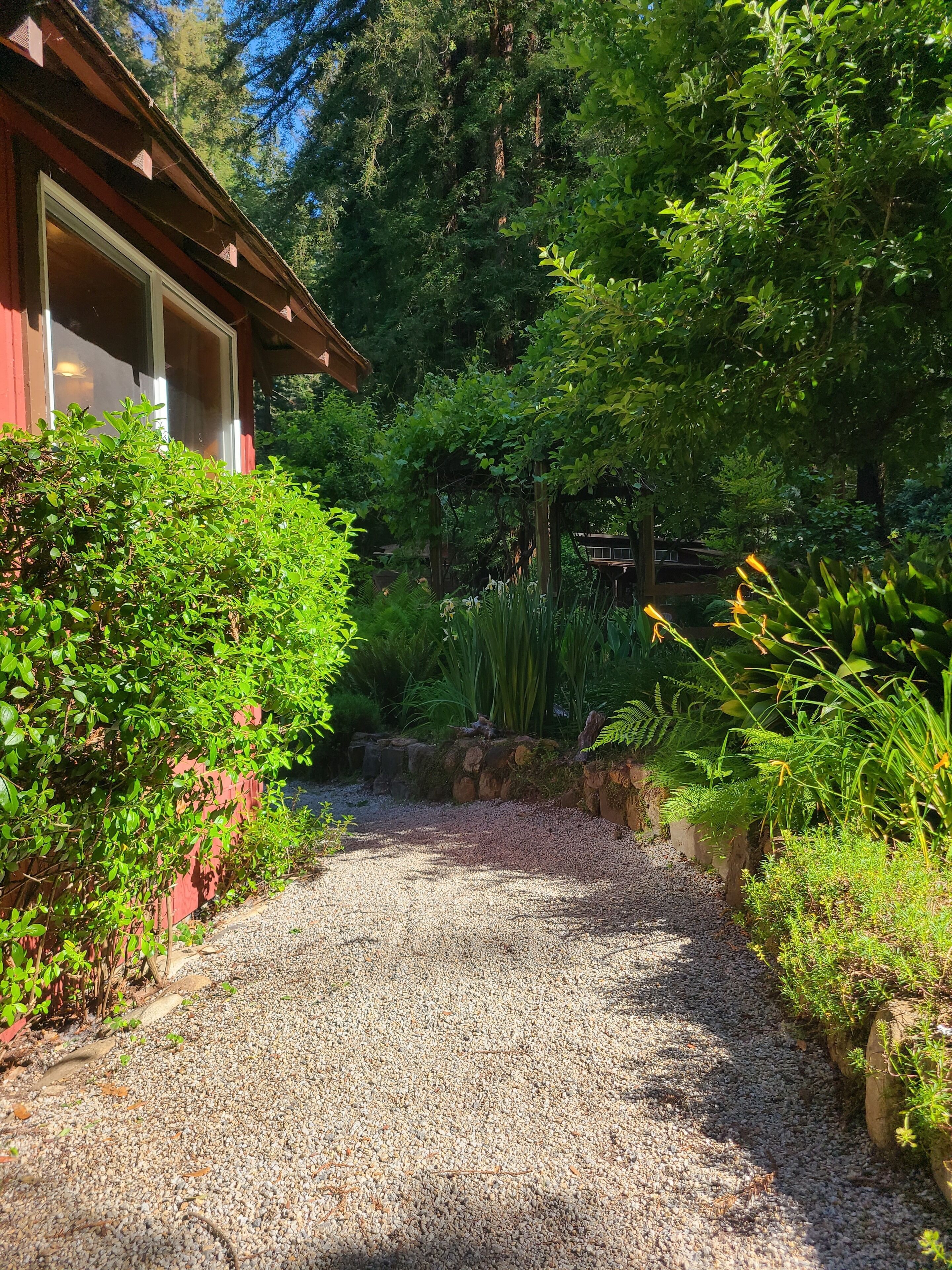 A gravel path leading to a wooden structure with a red exterior and large windows.