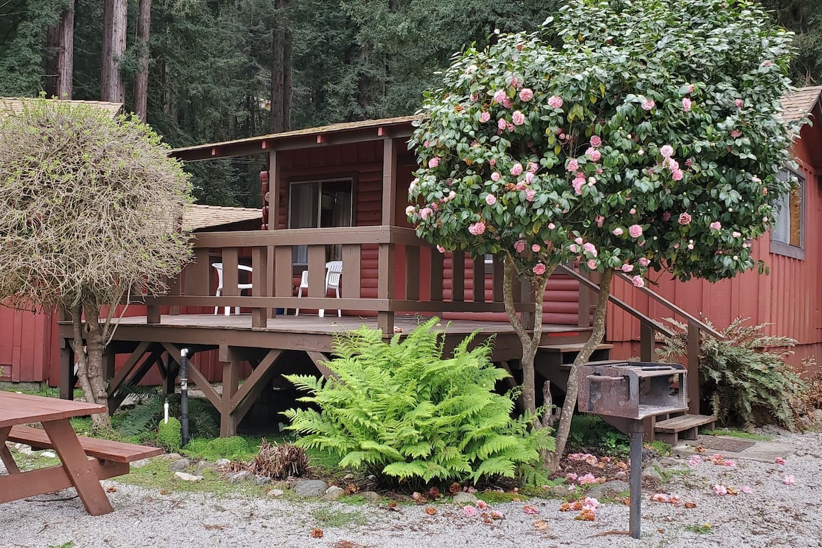 A rustic cabin with a wooden deck, surrounded by dense forest.