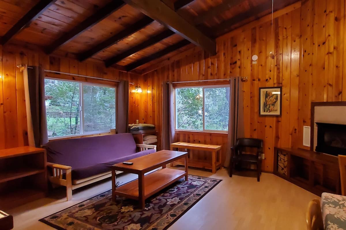 A cozy cabin interior with wooden walls, a fireplace, a sofa, and a dining table.