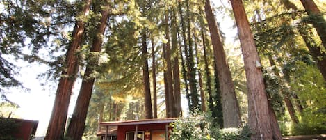 Cottage, 1 Queen Bed, Fireplace (Cottage 2) | Balcony