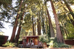 A cabin surrounded by tall trees, with a porch and chairs. - Fern River Resort (Felton)