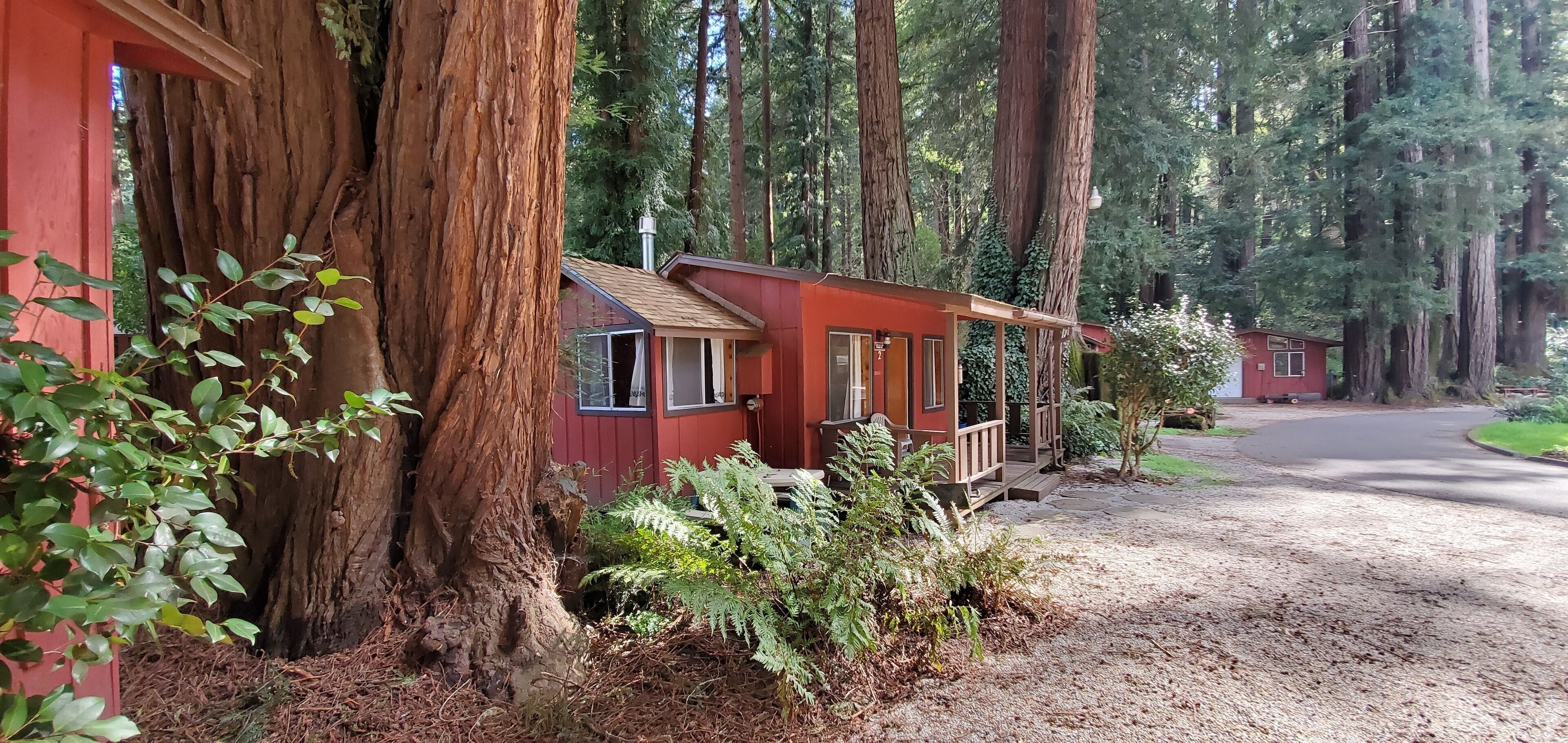 Casa de campo, 1 cama de matrimonio, chimenea (Cottage 2) | Decoración individual, mobiliario individual, cortinas opacas