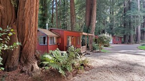 A row of cabins with a dirt path leading to them, surrounded by tall trees. - Fern River Resort (Felton)