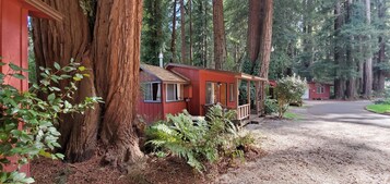 Cottage, 1 Queen Bed, Fireplace (Cottage 2) | Individually decorated, individually furnished, blackout drapes