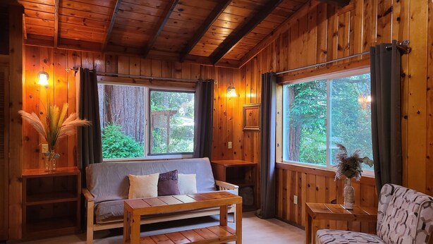 A cozy cabin interior with wooden walls, a sofa, a bench, and large windows offering a view of the forest. - Fern River Resort (Felton)