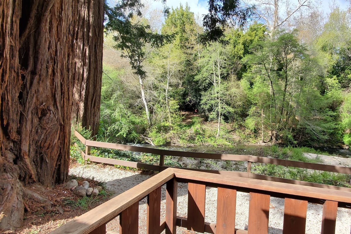 A wooden deck overlooking a forested area with a river.