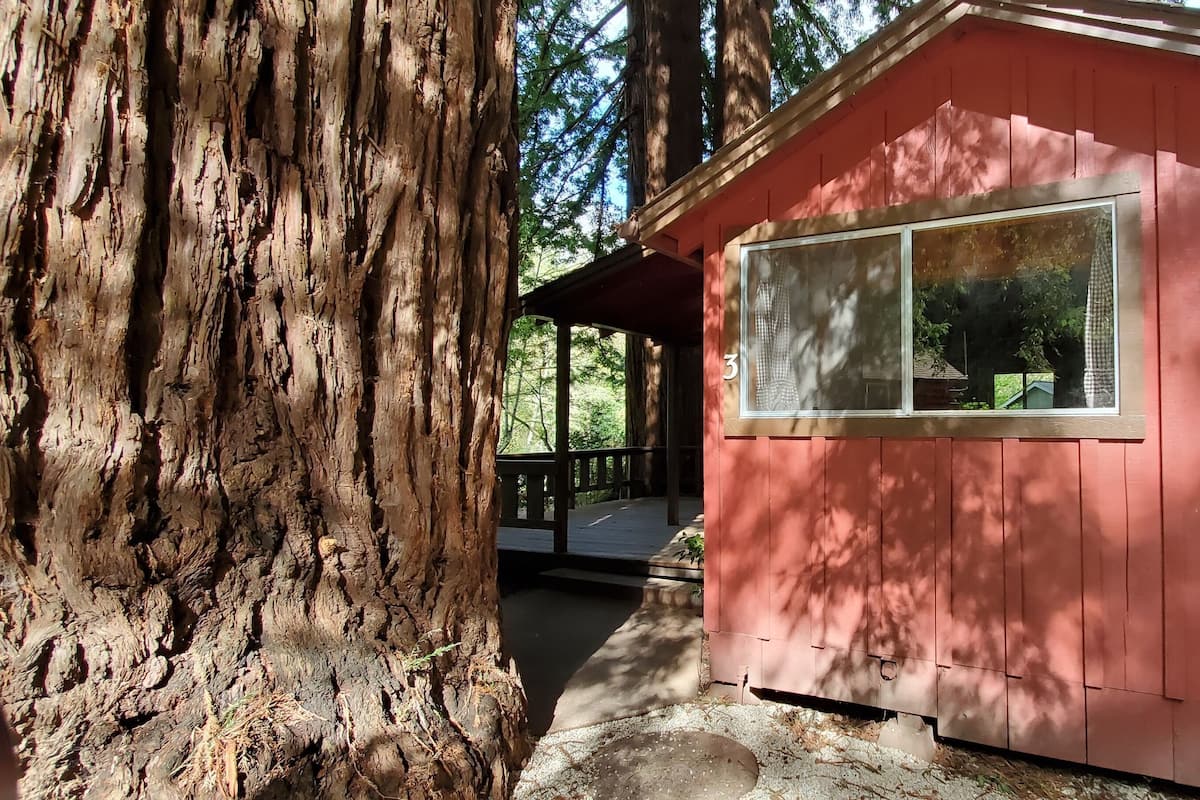 A red cabin with a large window, surrounded by trees.