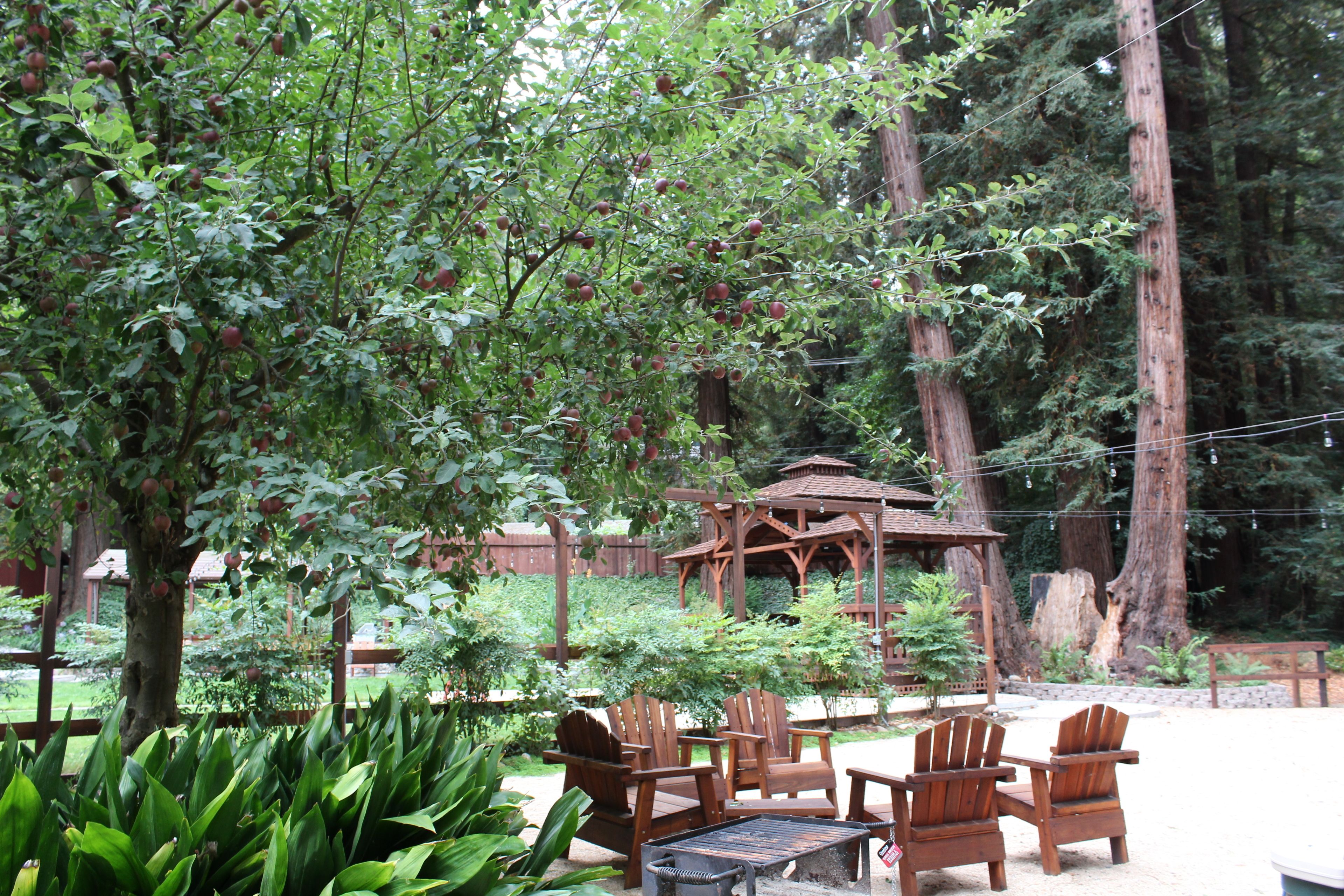 Deluxe Cottage, 1 Bedroom, Fireplace, Garden Area (Cottage 11B) | View from room