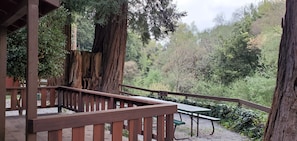 A wooden deck with a picnic table, surrounded by large trees and a natural landscape.