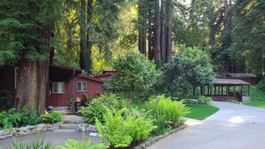 A cabin with a porch, surrounded by lush greenery and tall trees. - Fern River Resort (Felton)